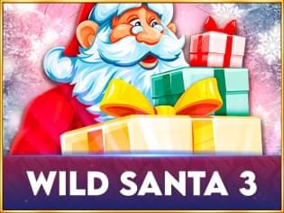 Wild Santa 3 thumbnail